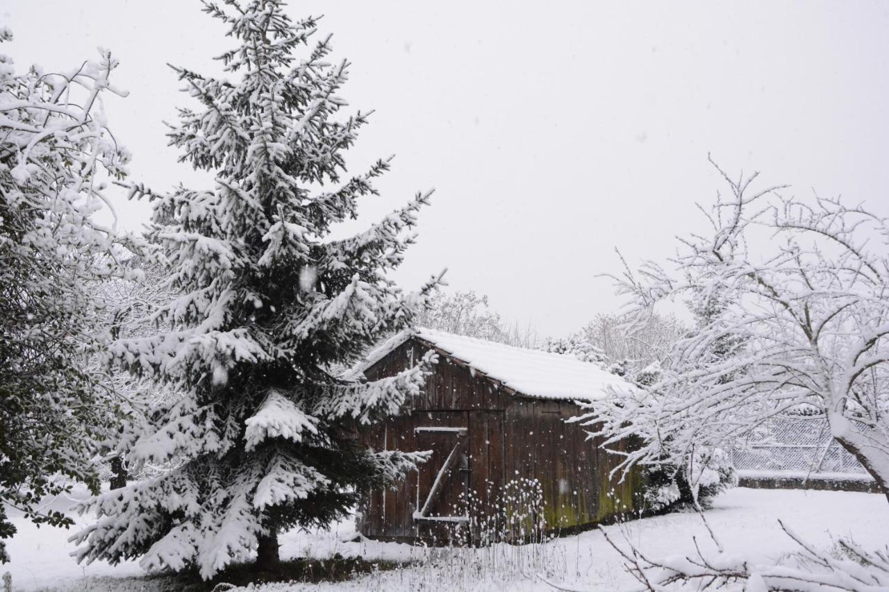 Ferme Les Iris Apartment Issenheim Exterior photo