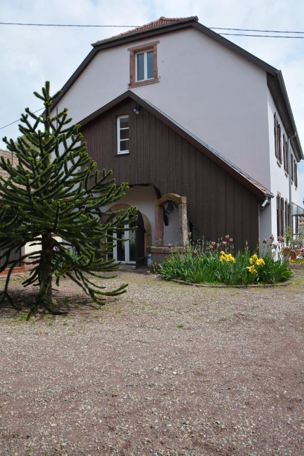 Ferme Les Iris Apartment Issenheim Exterior photo